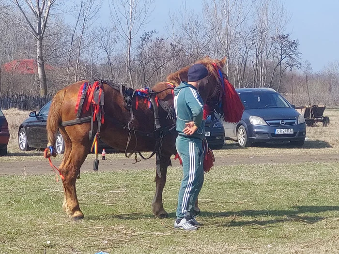 Și la Osica de Jos s-au încurat caii de Sântoader FOTO: Cristina Ciocan