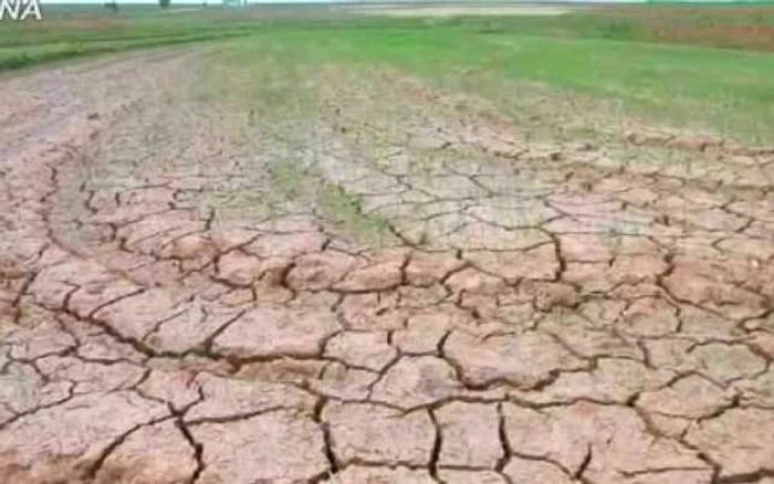 Seceta a făcut ravagii în unele provincii din Coreea de Nord FOTO KNCA