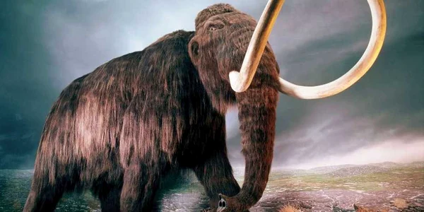 mamut