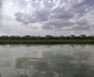 Insula din miljocul Dunării a înverzit FOTO: C. Mazilu