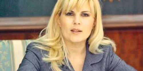 Udrea susţine că vrea ca problema câinilor fără stăpân să fie rezolvată definitiv