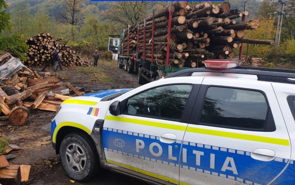 România polițiștilor inventivi. Ofițer de Poliție în timpul serviciului, comerciant ilegal de lemne în timpul liber