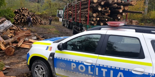 Acţiune a Poliţiei Vâlcea privind furtul de lemne din pădurile patriei Foto Adevărul - credit Poliţia Română