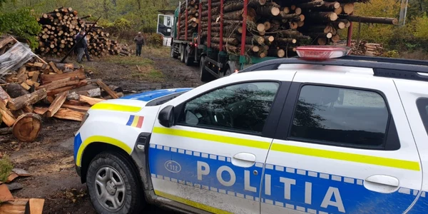 Acţiune a Poliţiei Vâlcea privind furtul de lemne din pădurile patriei Foto Adevărul - credit Poliţia Română
