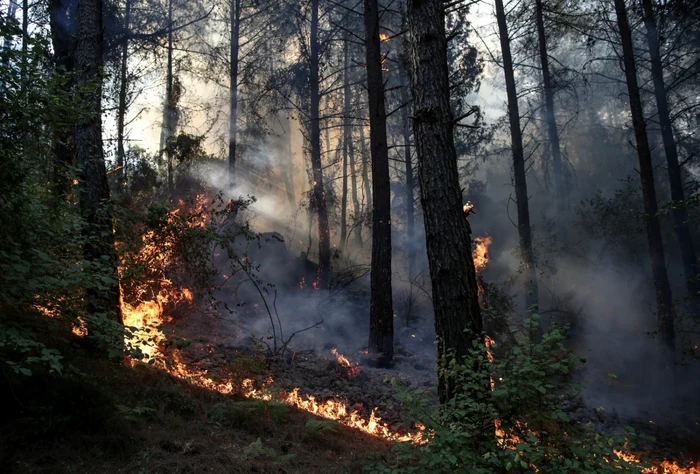 FOTO simbol Sursa EPA