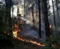 Dezastru provocat de incendii în Turcia. FOTO EPA-EFE