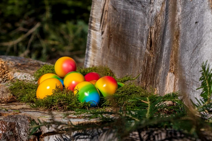 Ouă colorate pentru Paște - Foto: Pixabay 