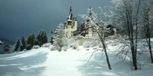Foto peles.ro