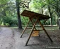 parcul dendrologic din simeria foto daniel guta adevarul
