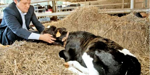 Comisarul român pentru Agricultură, Dacian Cioloş, este autorul noii Politici Agricole Comune, ce se va aplica din 2014  