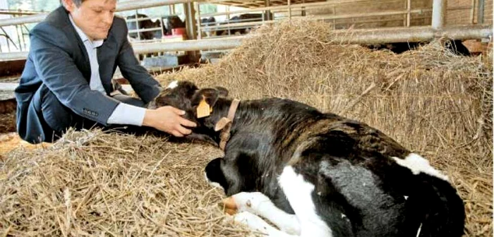 Comisarul român pentru Agricultură, Dacian Cioloş, este autorul noii Politici Agricole Comune, ce se va aplica din 2014  