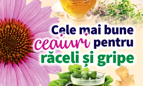 coperta noiebrie 2023 jpg