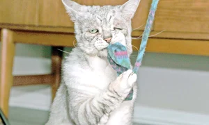 22 foto7 85 100 profimedia 0448977944 jpeg