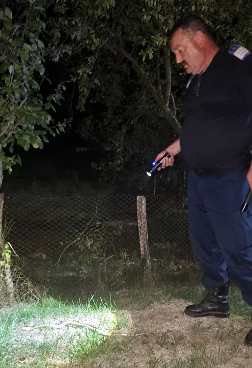 Șarpele a fost capturat și eliberat departe de zona locuită Foto: IJJ Gorj
