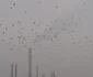 Imagini înscrise în concursul Bucureşti de sus FOTO experimentalist.ro 