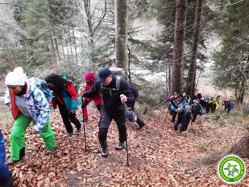 Marea „desarmalizare”. Zeci de montaniarzi s-au aventurat pe pitoreasca vale Vaca din Leaota pentru mișcare în aer liber FOTO