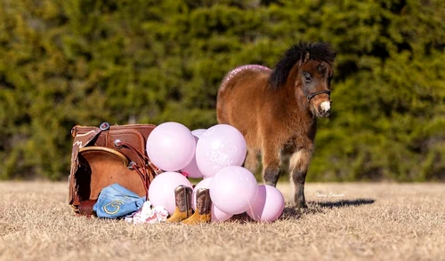 Așa a anunțat Gina Schumacher că este însărcinată. FOTO: Instagram