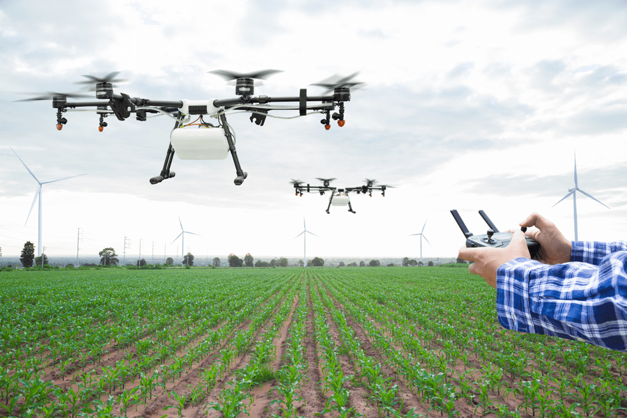 Agricultura românească are nevoie de soft-uri și de IT-iști