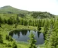 Lac glaciar în Munții Rodnei  Foto  Romsilva  Parcul Național Munții Rodnei   1 (9) jpg