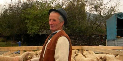 Crescatorii de oi spun ca mielul ar putea fi marfa rară anul acesta
