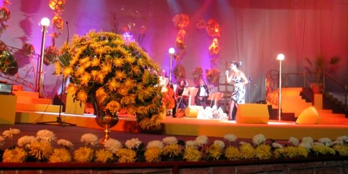 Crizantema de Aur arhiva