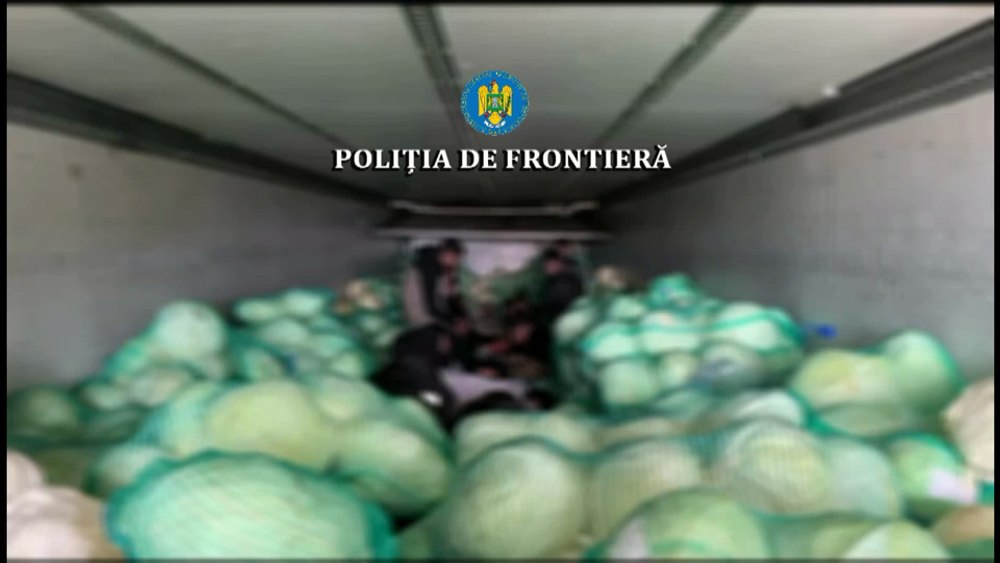 Descoperire incredibilă la vama Giurgiu. Polițiștii de frontieră au fost șocați de ce au găsit printre sacii de varză VIDEO