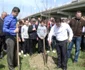 plantare copaci