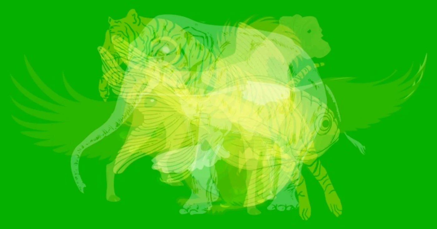 1 84177 original jpg jpeg