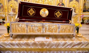 mf scoatere moaste cmn 103 jpeg