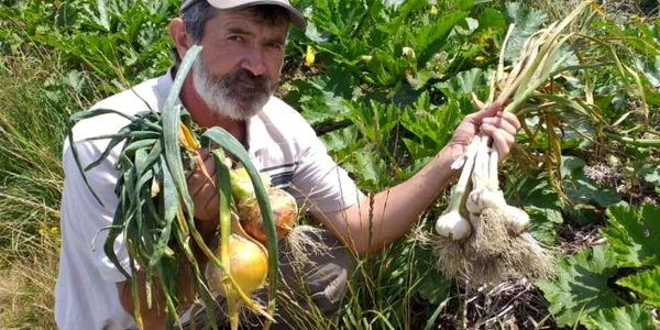 Legumele cultivate de Paul Barbu se vând ca pâinea caldă jpeg