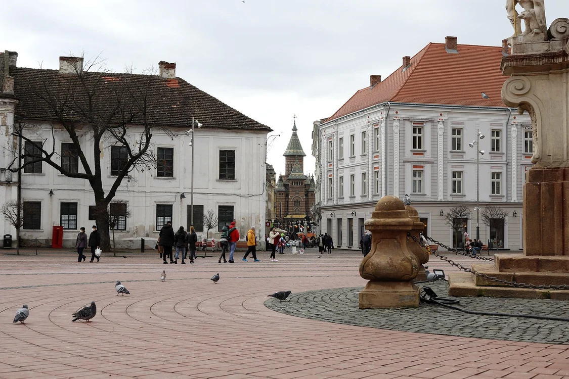Timișoara, orașul în care sunt cele mai mari salarii / FOTO: Pixabay