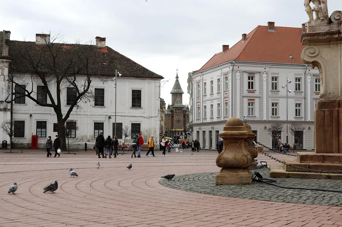 Timișoara, orașul în care sunt cele mai mari salarii / FOTO: Pixabay