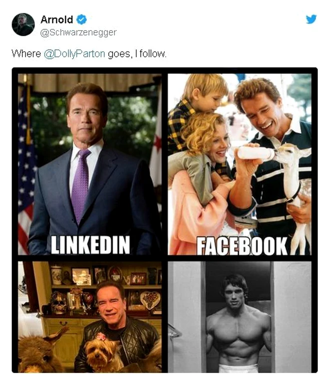 arnold jpg jpeg