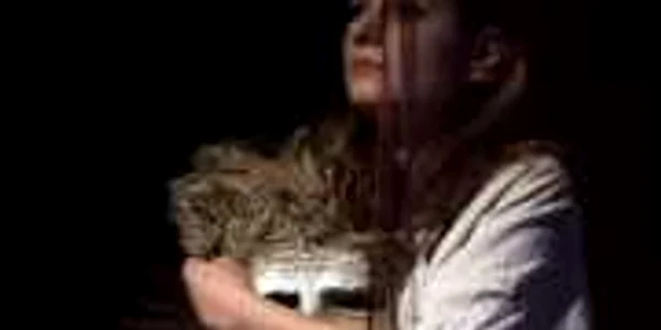 Piesele de teatru sunt programate în general de la ora 18.00