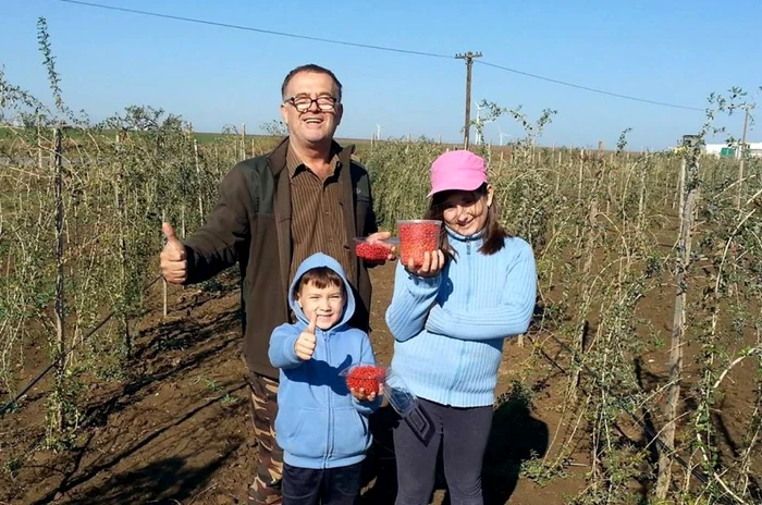 Primul rod de pe plantaţie FOTO Facebook