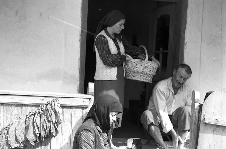 Imagine din filmul „Moromeții“ FOTO Ștefan Ciurea  (Colecție Cineclic)