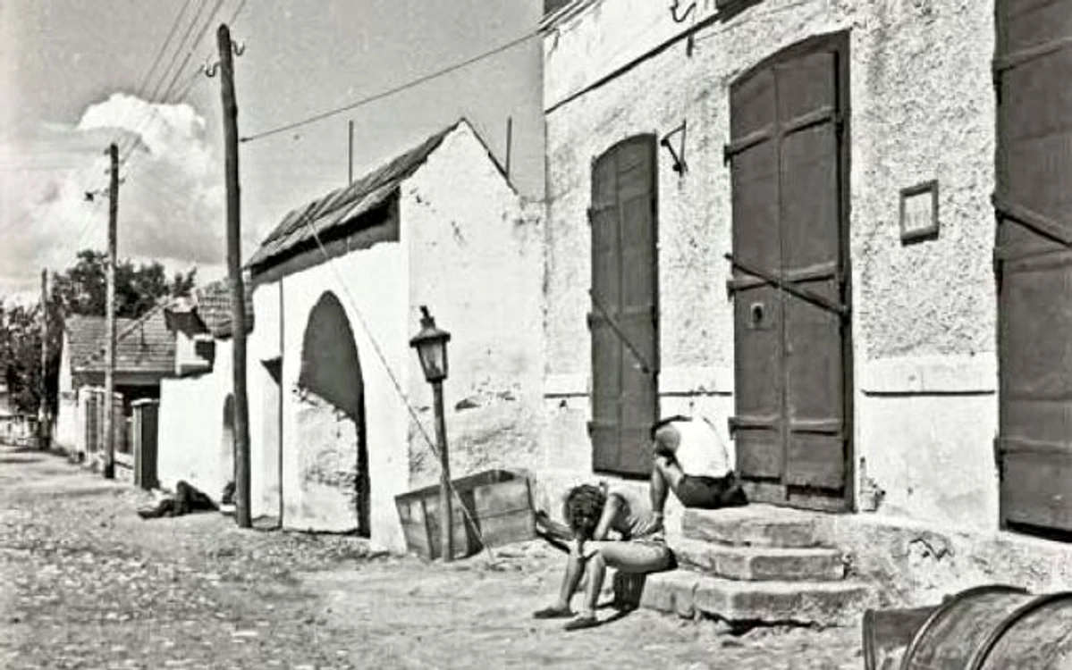 retezat 1963 foto viorel simionescu