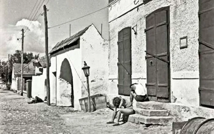 retezat 1963 foto viorel simionescu