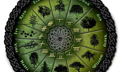 1 51271 original jpg jpeg