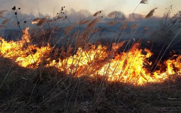 Incendiu Delta Vacaresti FOTO ISU