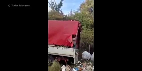 6162c84b5163ec4271362de7 jpg