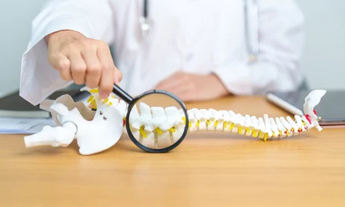 shutterstock 2323834917 jpg