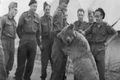 wojtek ursul soldat captura video jpg
