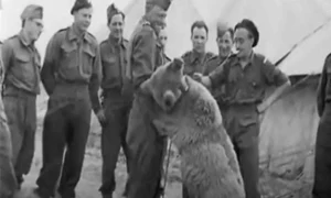 wojtek ursul soldat captura video jpg