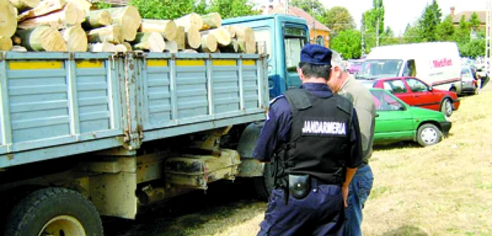 Arad: Jandarmii controlează lemnele de foc