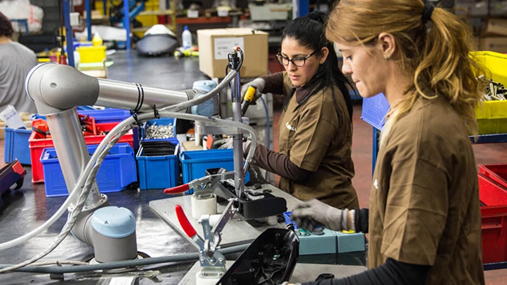 Piața muncii, o nouă etapă: Nu dispar joburile, dar se schimbă radical competențele căutate. Cum ne pregătim pentru volatilitate