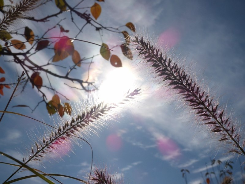 Prognoza meteo pentru weekend: am putea avea cea mai caldă zi din martie, din ultimii 72 de ani
