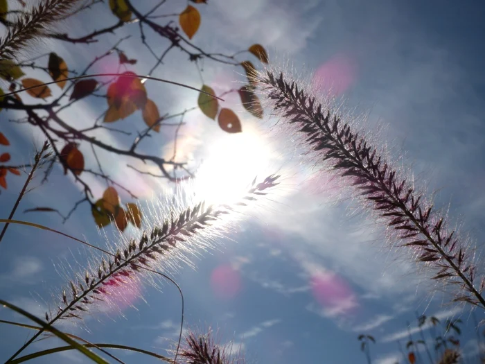 Vremea se încălzeşte FOTO piaxabay.com