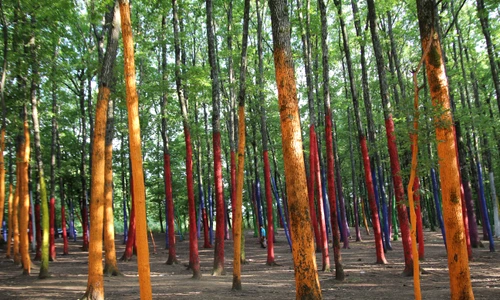 1 shutterstock 1804637902 jpg jpeg