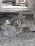 schelete pompei descoperiri jpg